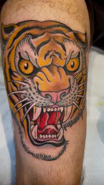 Tiger