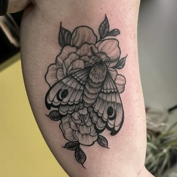 Animal, Nature, Flower