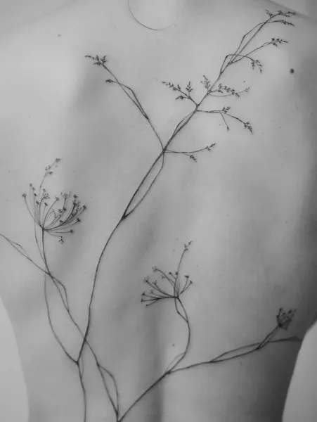 Flower, Nature