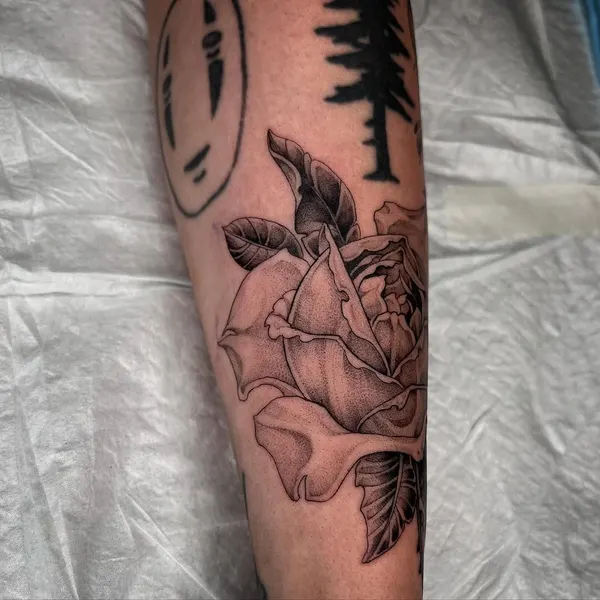 숲, Flower, Rose