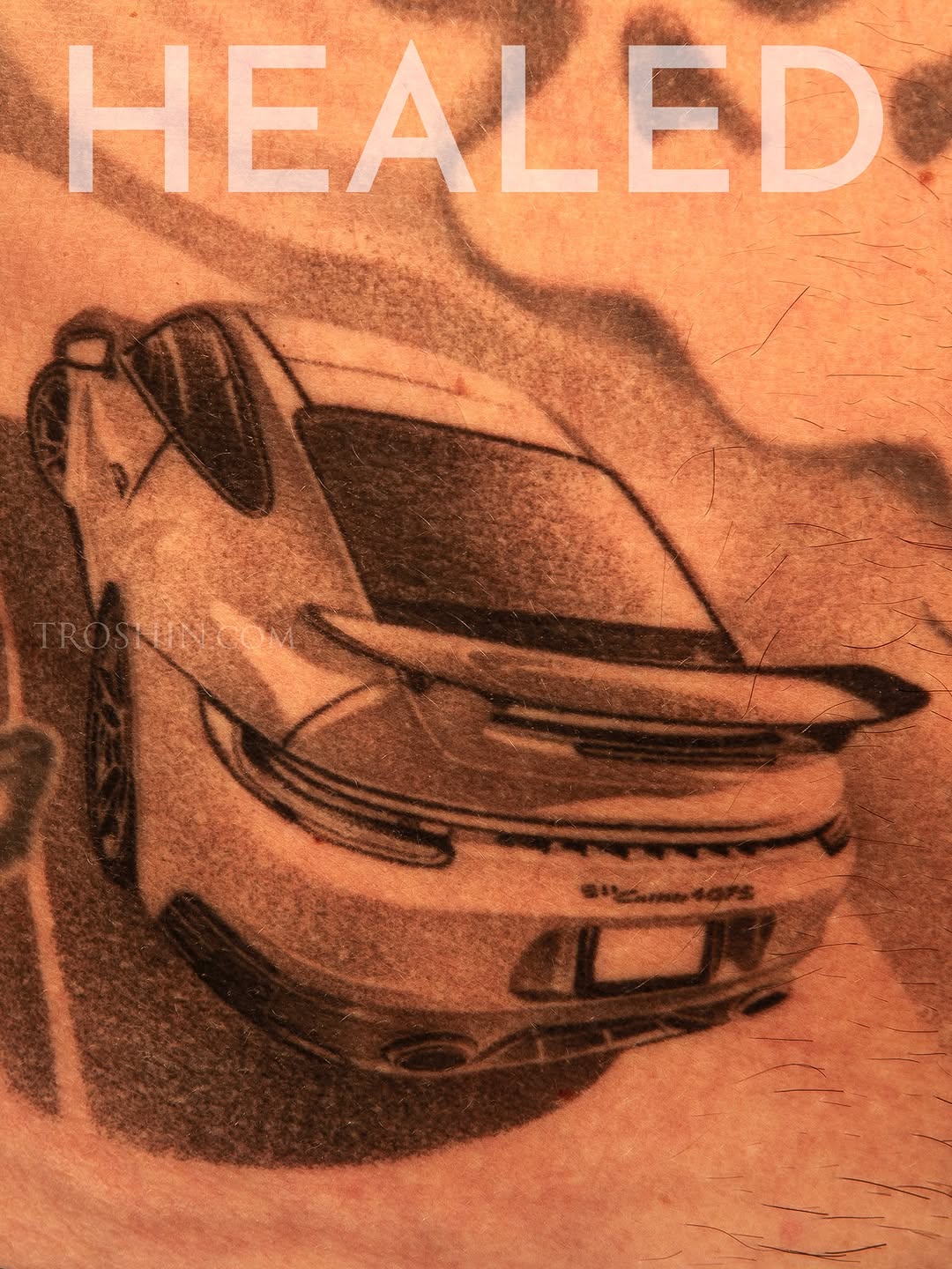 자동차