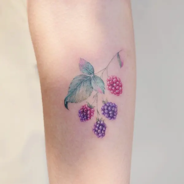 수국, 덩굴, Flower, Rose, 매화, 포도, 벚꽃, 라벤더