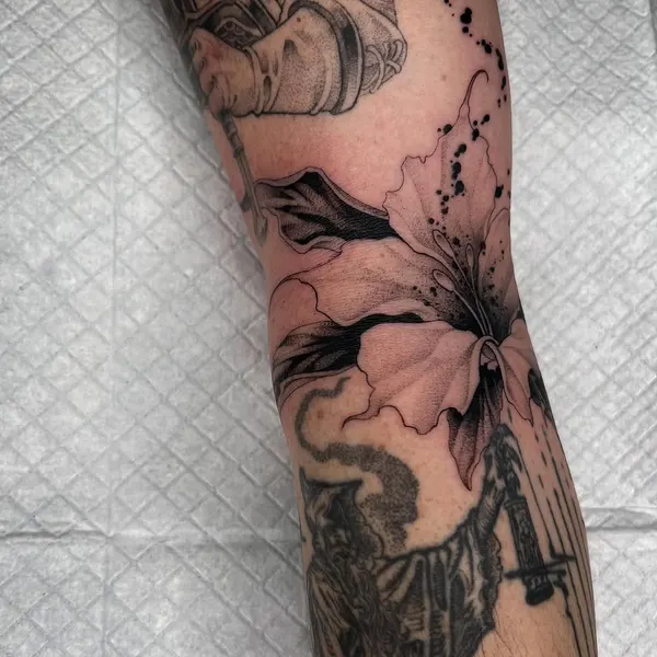 Flower, Rose, 음악, 피아노, 바이올린