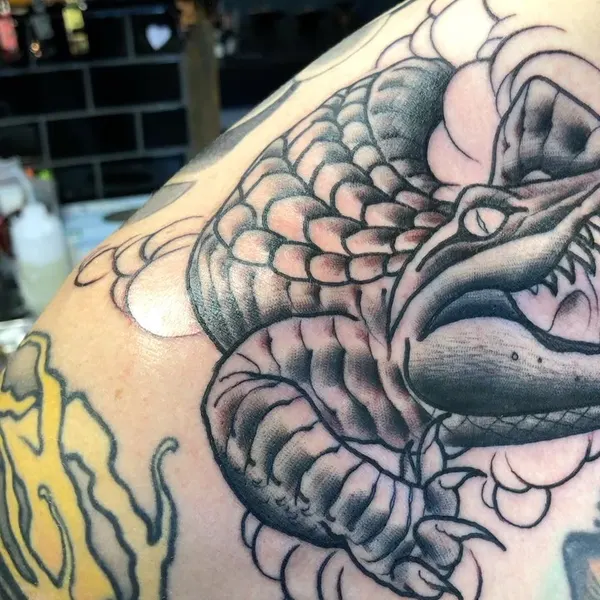 Dragon, 악어