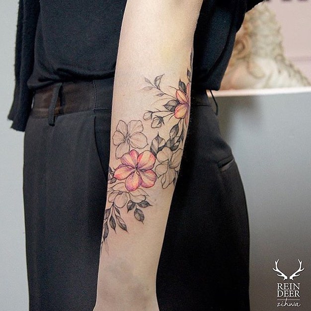 Flower, Rose