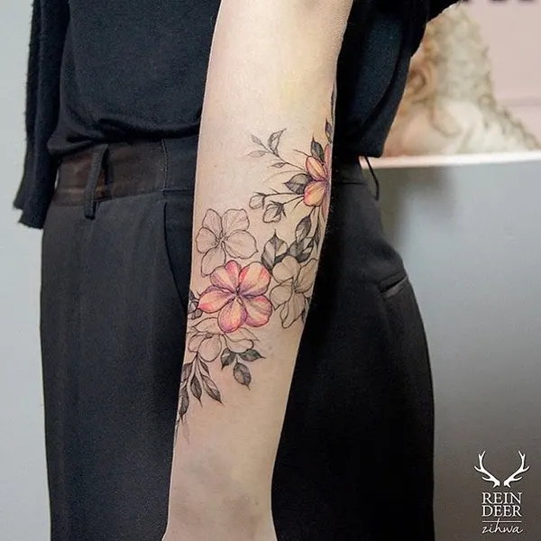 Flower, Rose