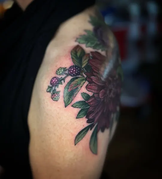 Nature, Flower, Animal, Rose