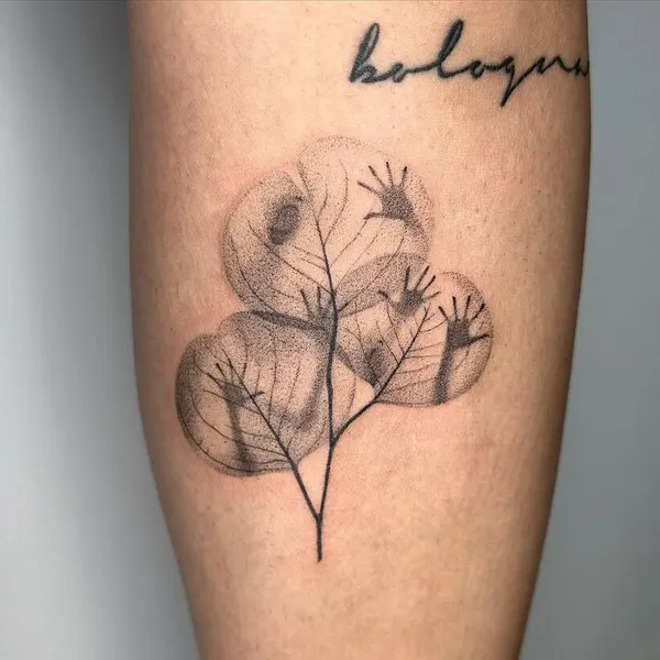 plantsnpokes
