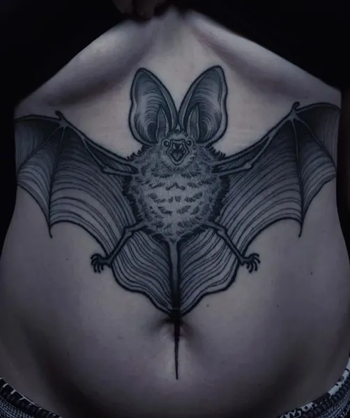 Dragon, 박쥐