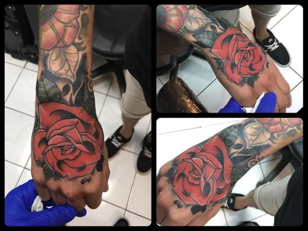 Flower, Rose