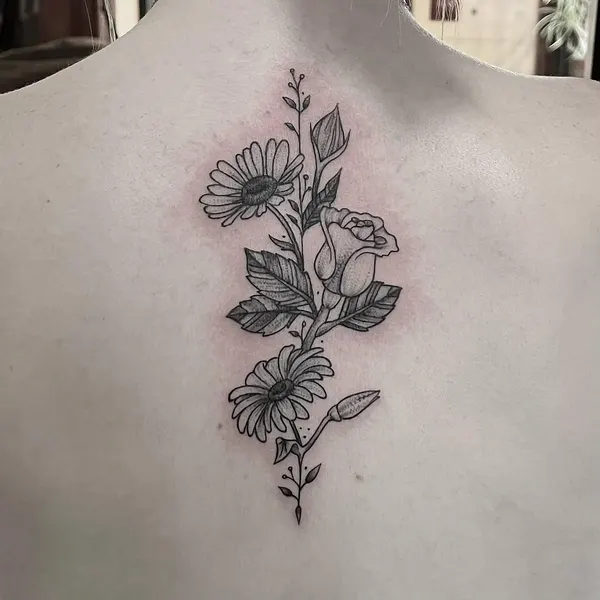 Flower, Nature, Rose