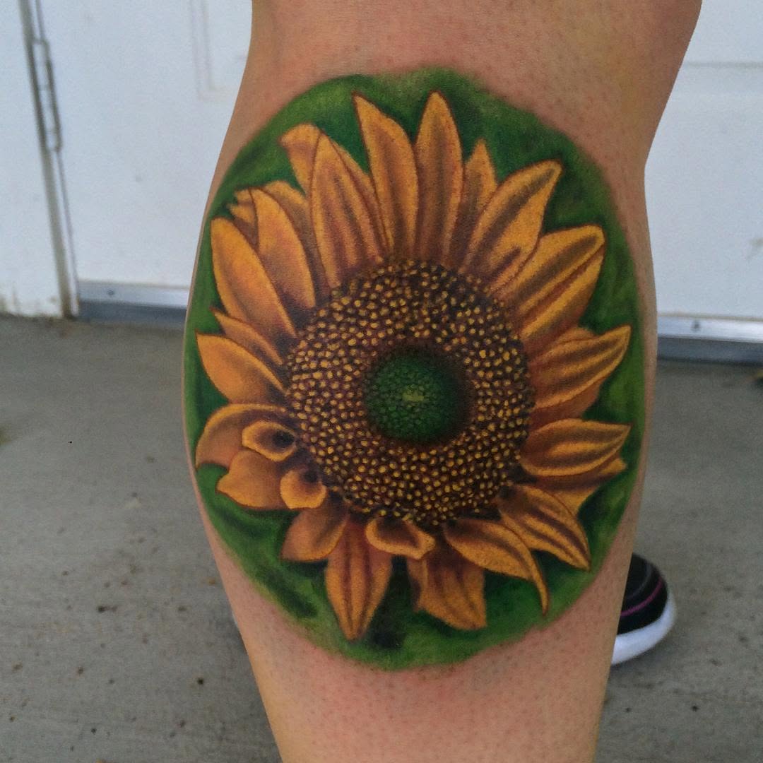 Flower, 국화, 해바라기