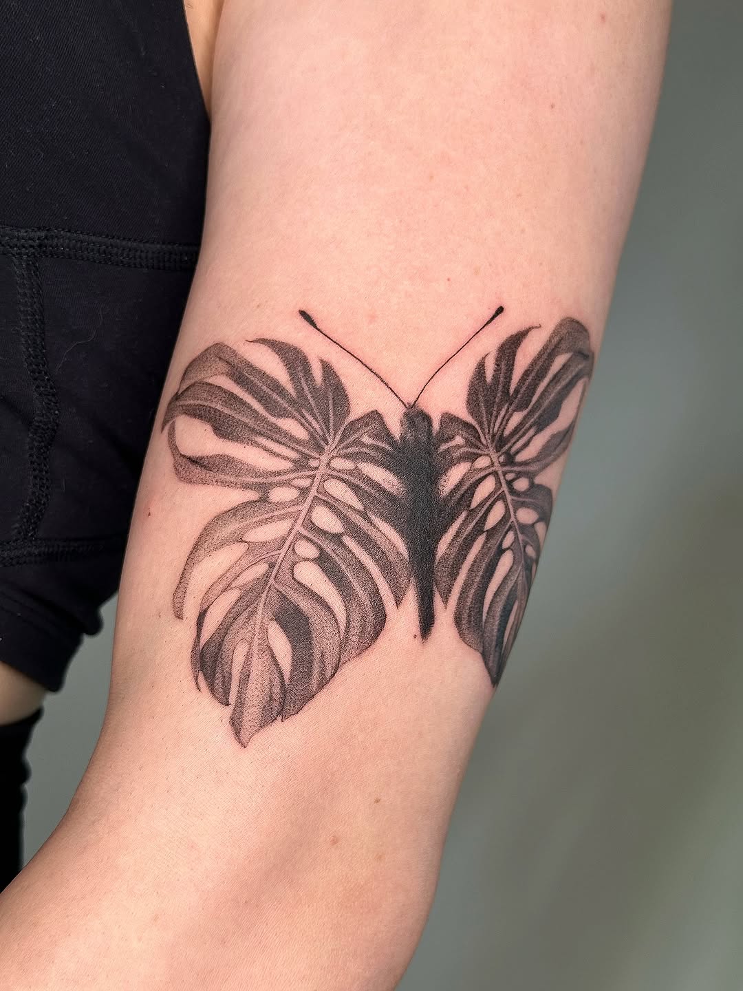 Animal, Nature, Flower