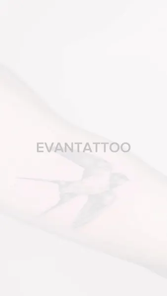 evantattoo