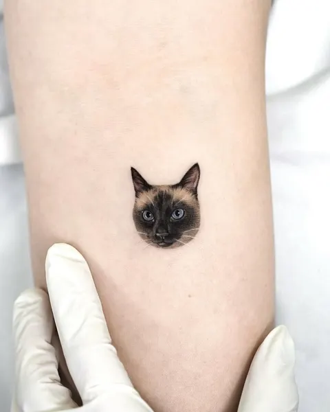 고양이, 텐구, 반려동물