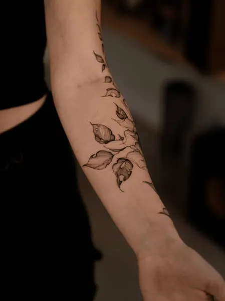 Flower, Rose, 멘디