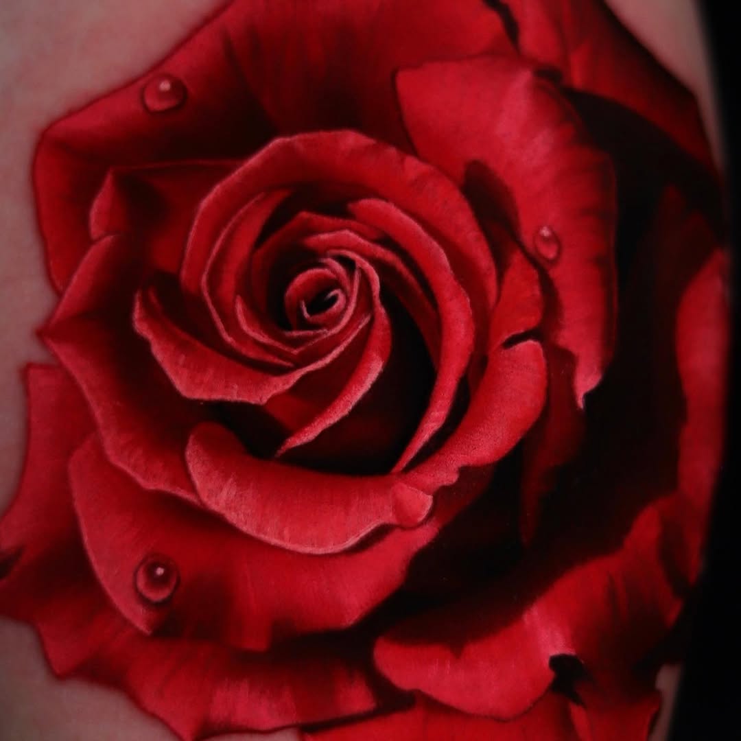 Rose, Flower