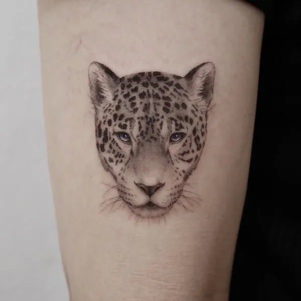 Animal, 치타, 팬서, 표범, 재규어, 여우 가면