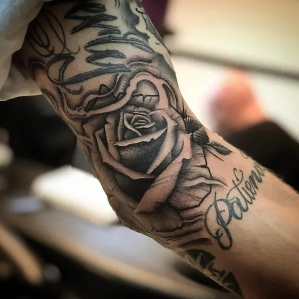 Flower, Rose