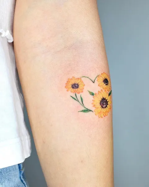 Flower, 양귀비, 해바라기