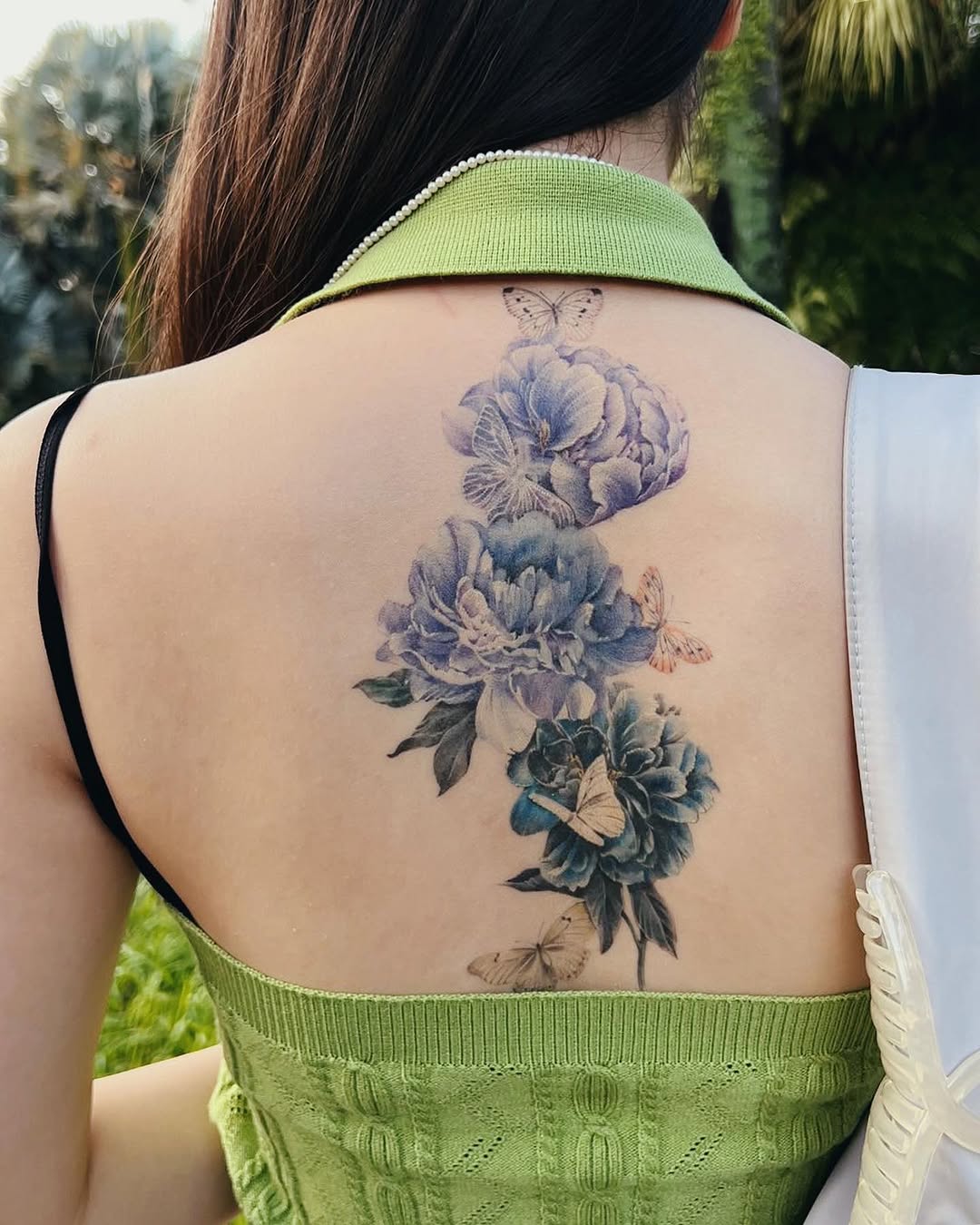 Rose, Nature, Flower