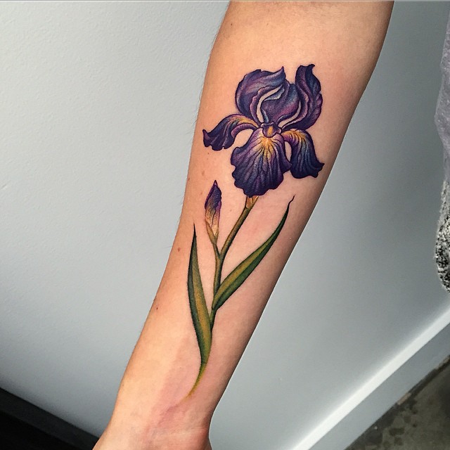 Flower, 백합, 라벤더, 야생화, 아이리스, 튤립
