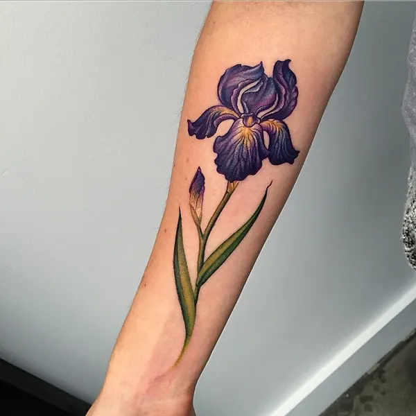 Flower, 백합, 라벤더, 야생화, 아이리스, 튤립