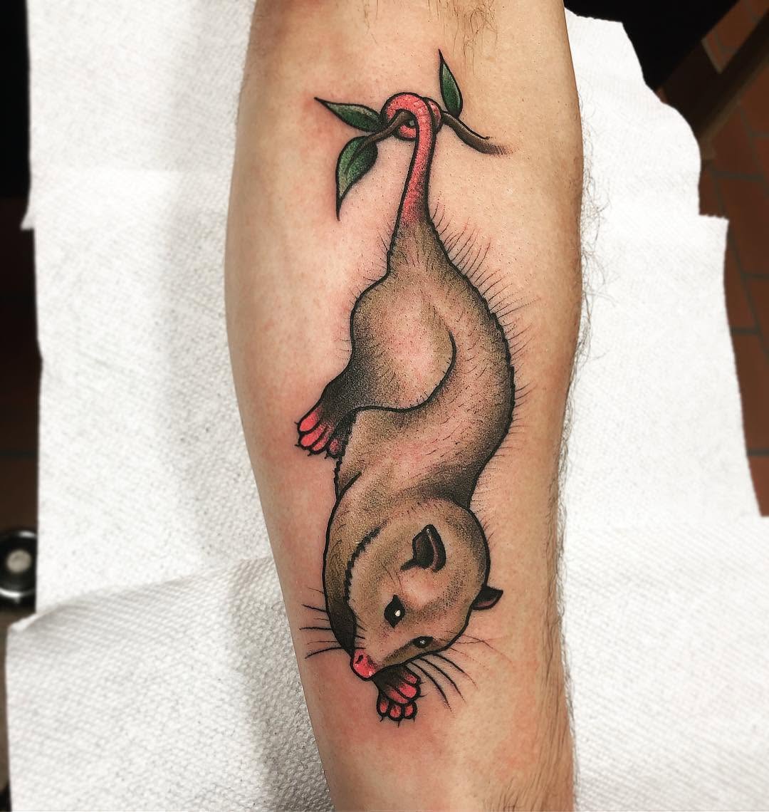 Animal, Flower, 다람쥐, 펭귄
