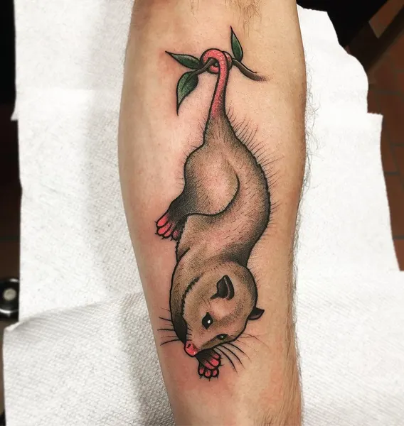 Animal, Flower, 다람쥐, 펭귄
