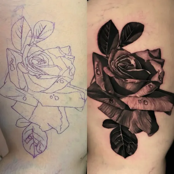 Flower, Rose