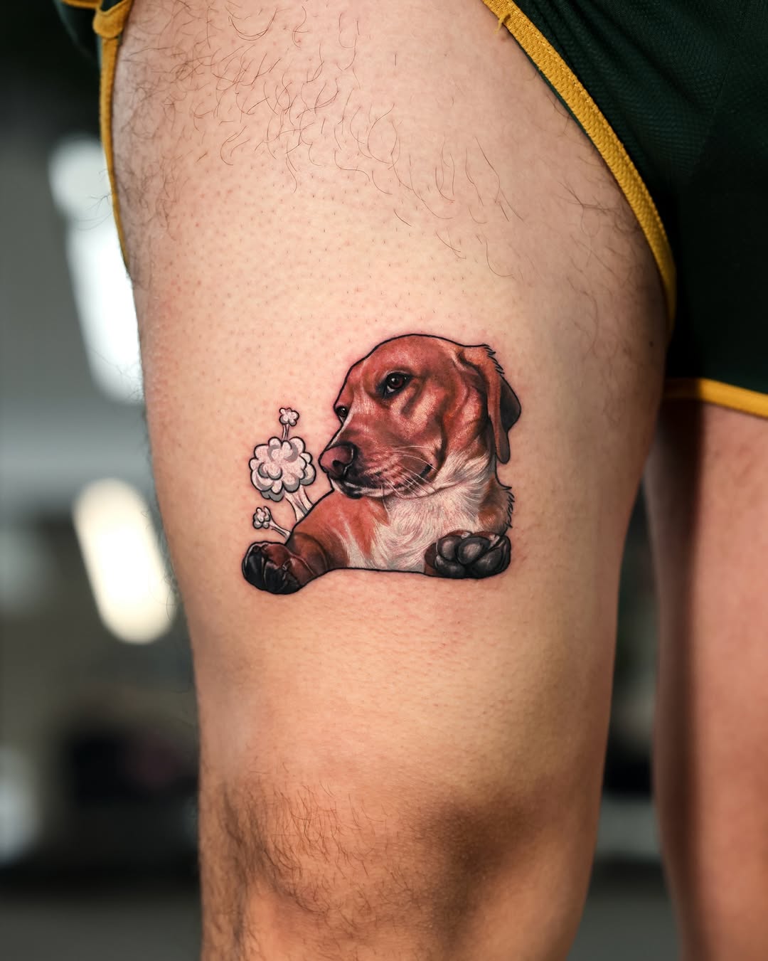 Animal