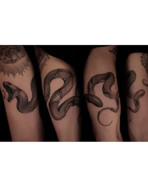Snake