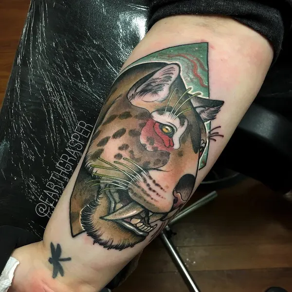 Tiger, Animal