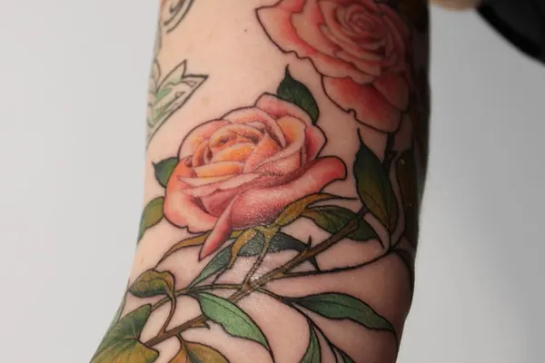 Flower, Rose