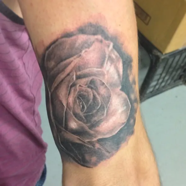Flower, Rose