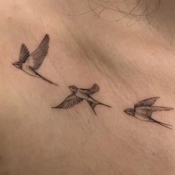 배, 닻, 요트