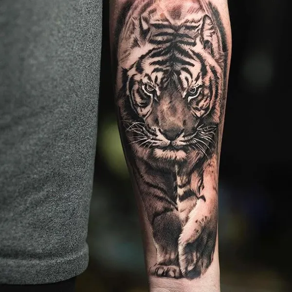 Tiger