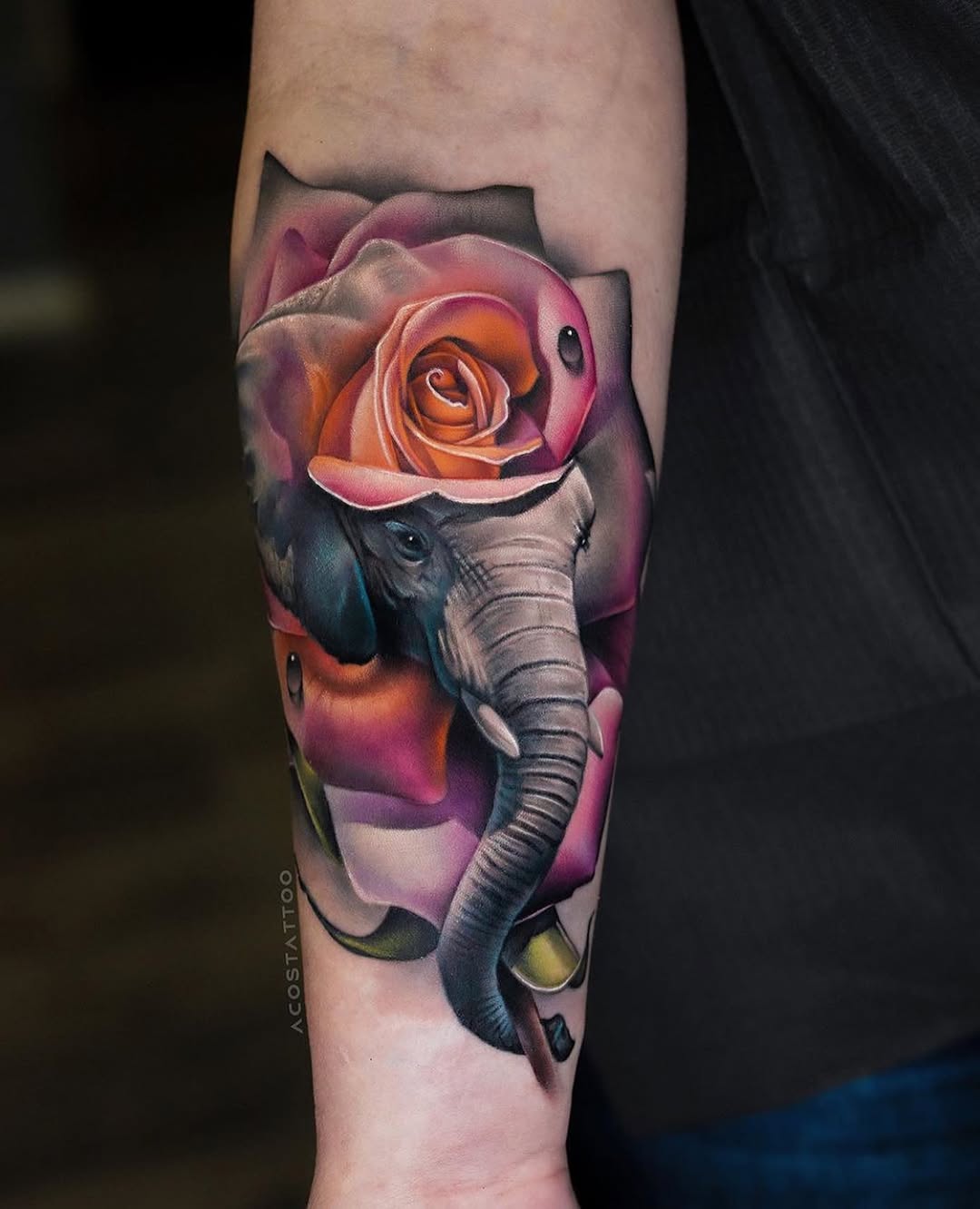 Flower, Rose, 코끼리
