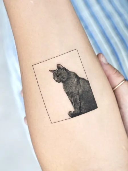 텐구, 함사, 여우 가면, 고양이, 반려동물, 마네키네코