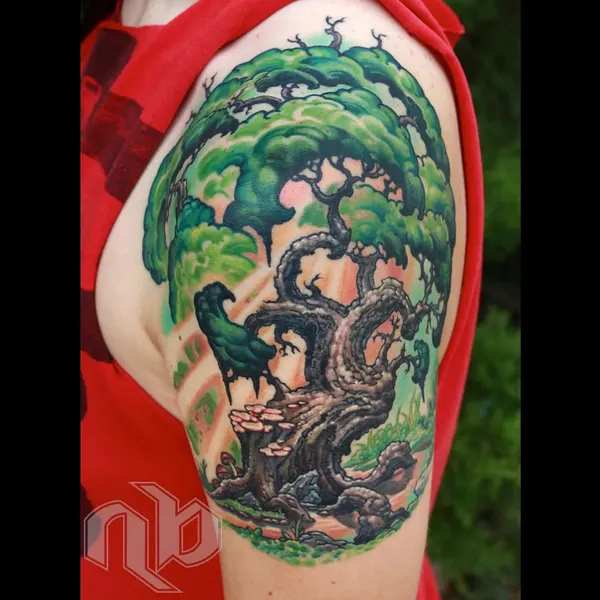 Nature, 나무, 소나무