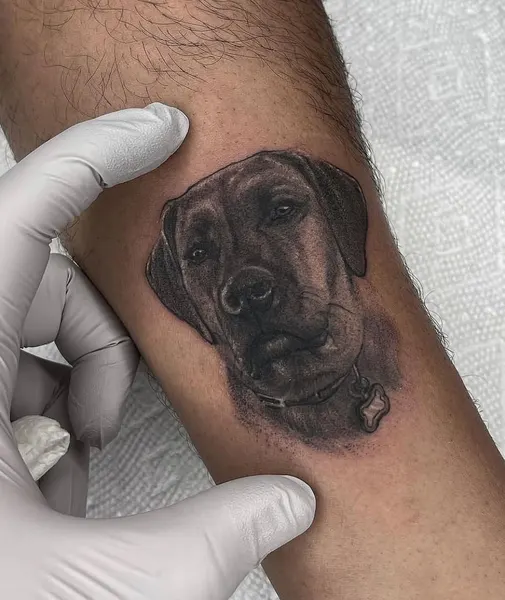 Full Circle Tattoo