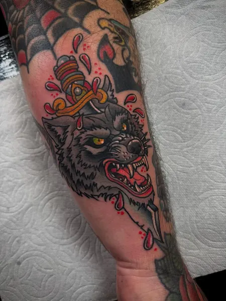 Tiger, Animal