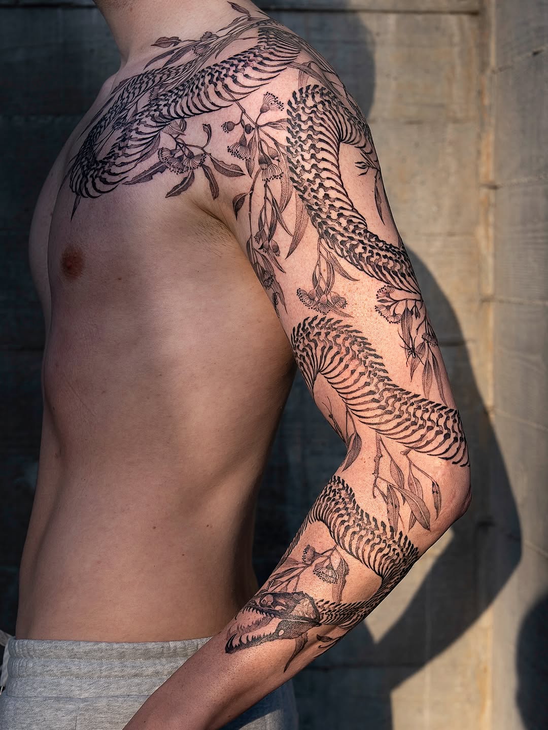 Dragon