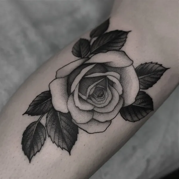Flower, Rose