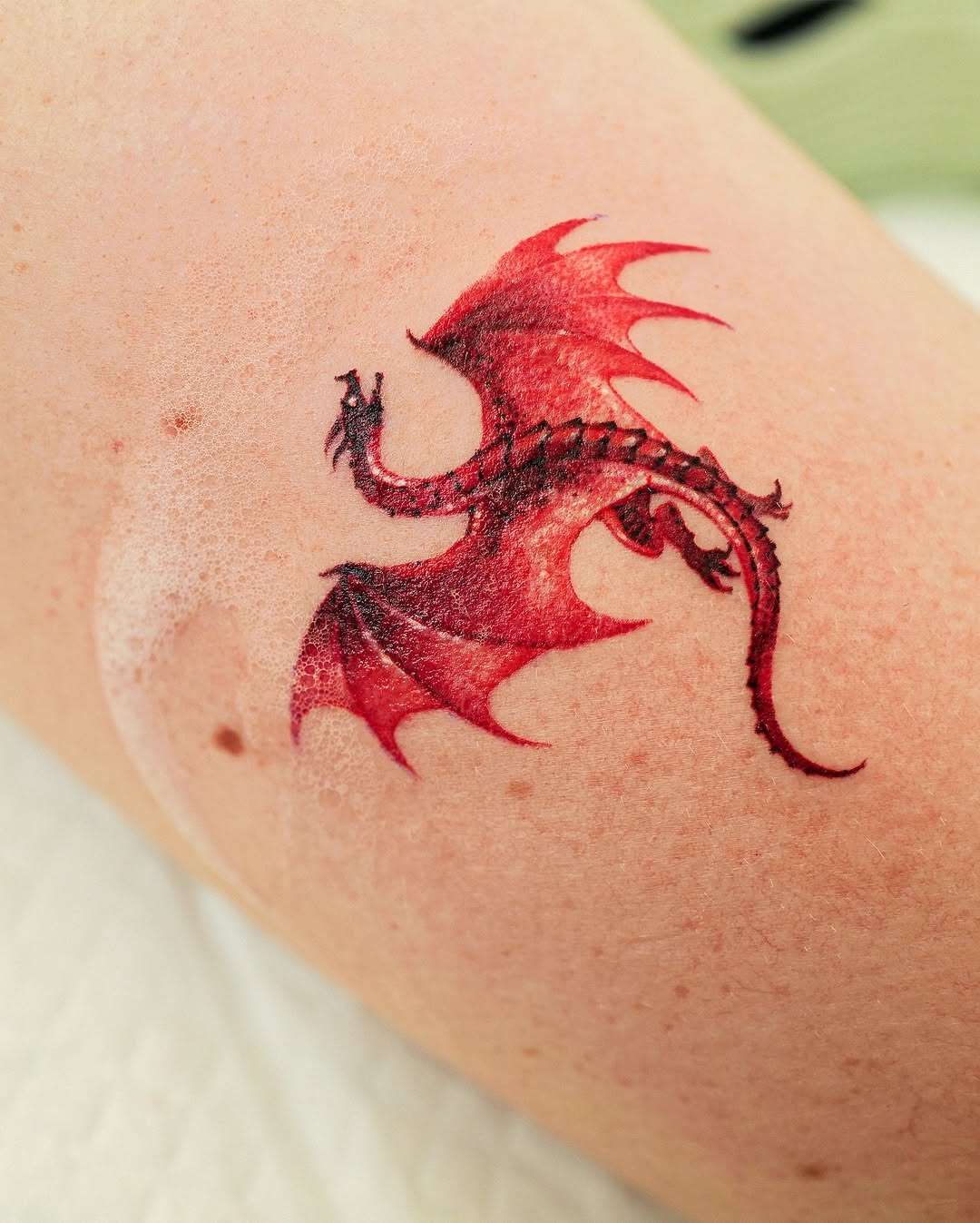 Dragon, 전갈, 드래곤 라이더, 불꽃