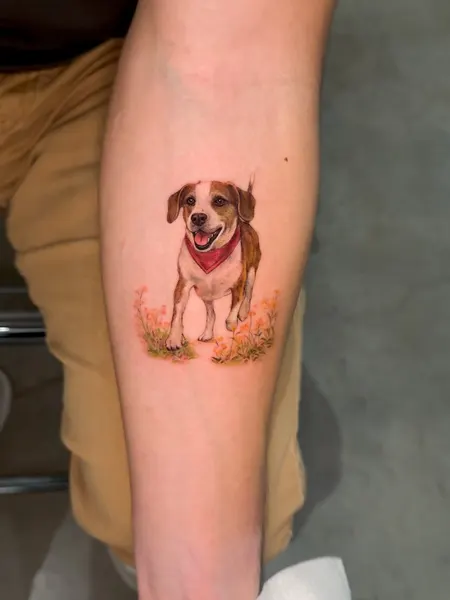 Animal