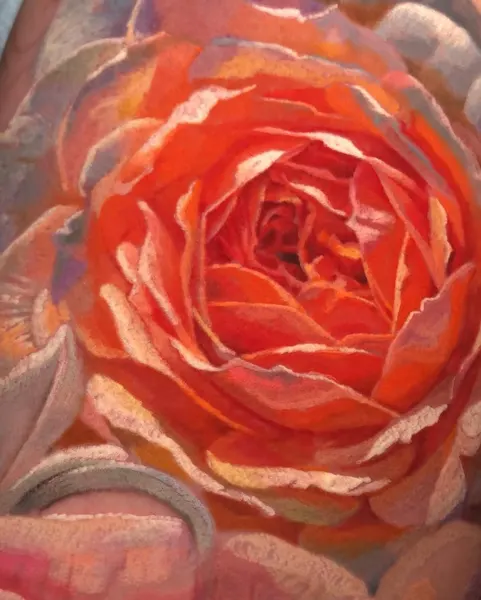 Flower, Rose