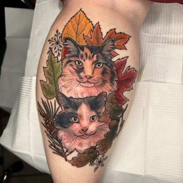Animal, 고양이