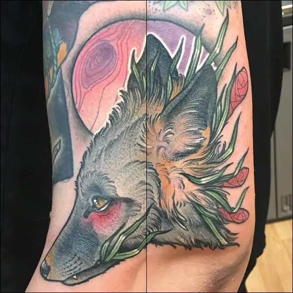 Animal