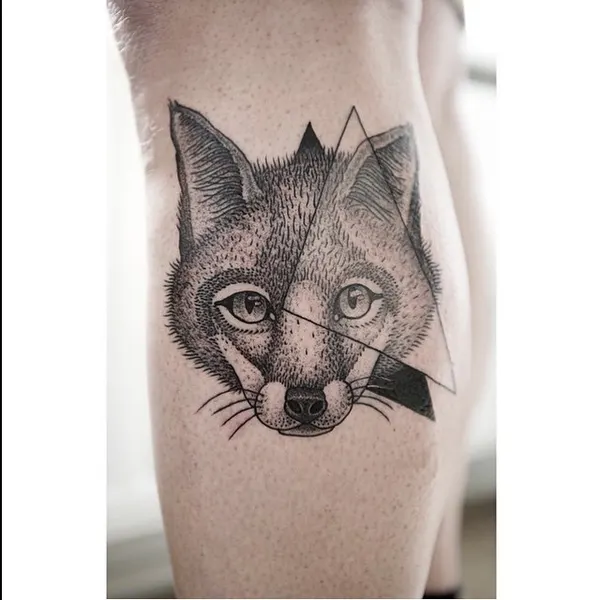 Animal, 여우, 너구리